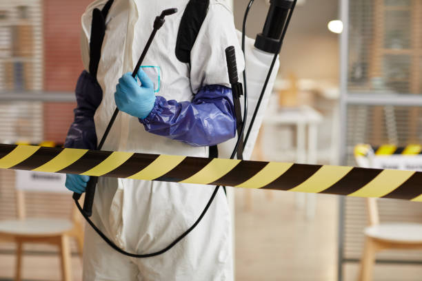 Professional Sewage Cleanup technician working in Sautee Nacoochee, GA
